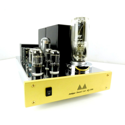 Antique Sound Lab AQ-1006 845 Tube Monoblocks