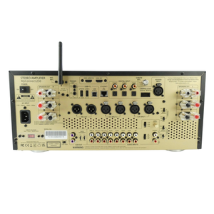 Advance Paris MyConnect 250 — Integrated Amplifier with Streamer and CD Player