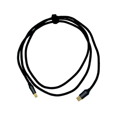 Pangea Audio Premier USB — A to B