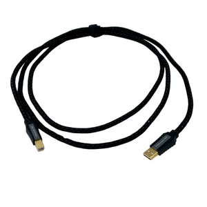 Pangea Audio Premier USB — A to B