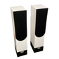 Living Voice Auditorium R25A Floorstanding Speakers