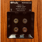 ProAc Response D20R Floorstanding Speakers — Pair, with IsoAcoustic Feet