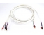 Chord Company Carnival Bi-Wire