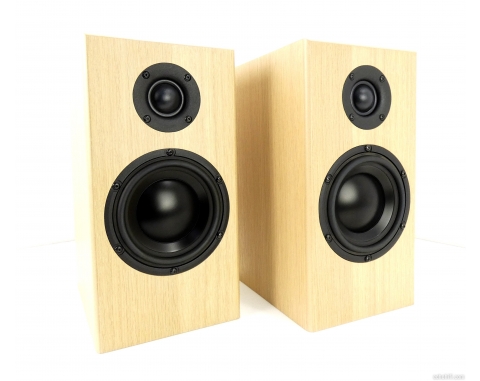 Totem Acoustic Bison Monitor